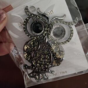 Elegant Crystal Owl Brooch